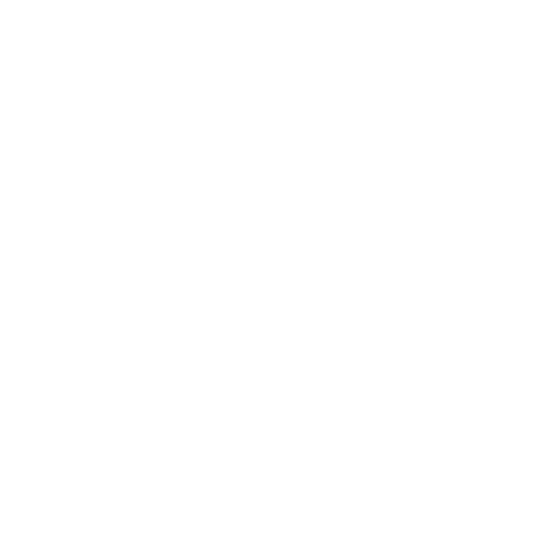 MVM Xpert